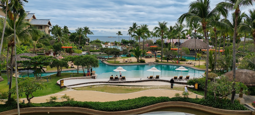Tropical resort swimming pool surrounded by palm trees