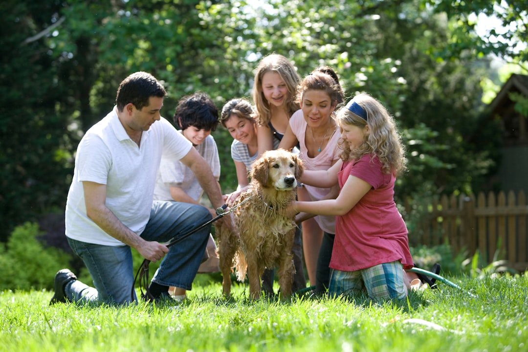 A family caring for their dog while traveling